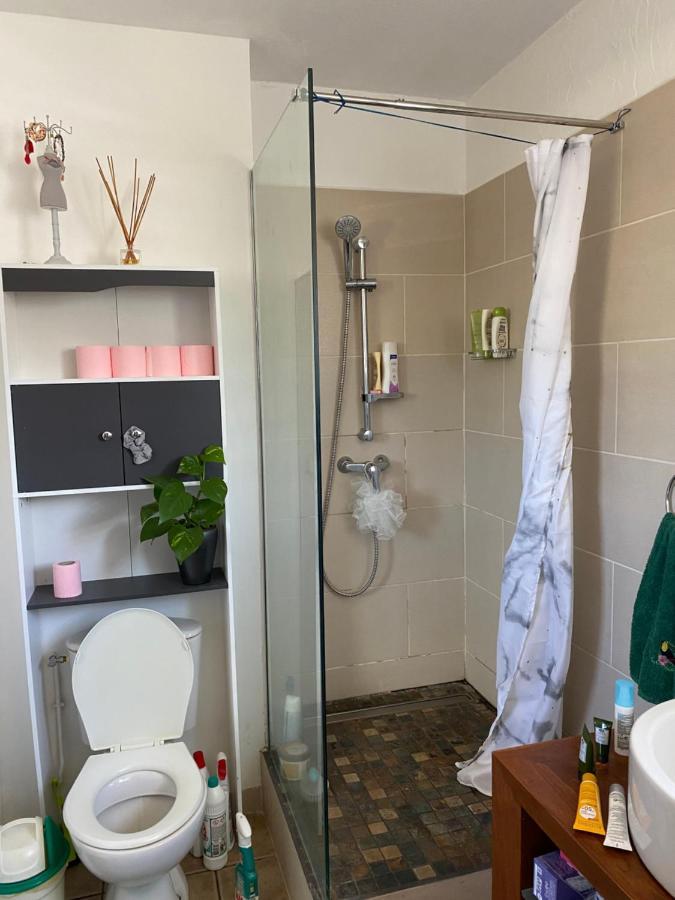 Beau Studio Proximite Plage La Saline Le Bains Εξωτερικό φωτογραφία